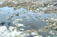 کوه زباله‎های چالوس در دل جنگل