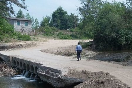 ۱۲کیلومتر تا قلب محرومیت/ روستایی محروم در دل جنگل سبز