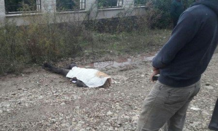 افشای جزئیات قتل زن جوان نوشهری در جاده جنگلی/ دوستی مرگبار زن جوان با مرد شیشه ای افشای جزئیات قتل زن جوان نوشهری در جاده جنگلی/ دوستی مرگبار زن جوان با مرد شیشه ای