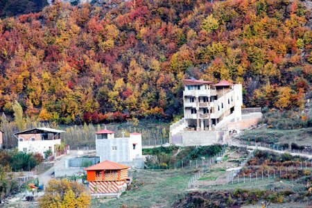 حکایت تلخ ۲۲۲ قطعه زمین جنگلی/ ویلاها غیرمجاز قد میکشند حکایت تلخ ۲۲۲ قطعه زمین جنگلی/ ویلاها غیرمجاز قد میکشند