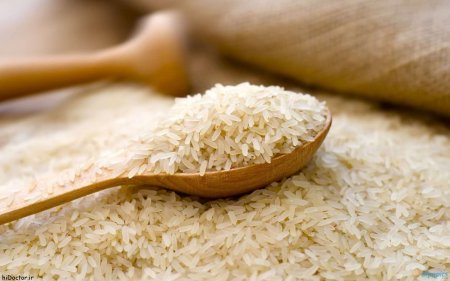 چلو خورشت با طعم قرص برنج/ چطور برنج سمی راتشخیص دهیم؟ چلو خورشت با طعم قرص برنج/ چطور برنج سمی راتشخیص دهیم؟
