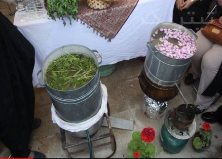 عطر گلاب و قصه دیگ‌های مسی گلابگیری در باغات ساری