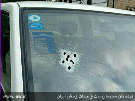 جنگلبان شهرستان نور بر اثر شلیک قاچاقچیان چوب به شهادت رسید