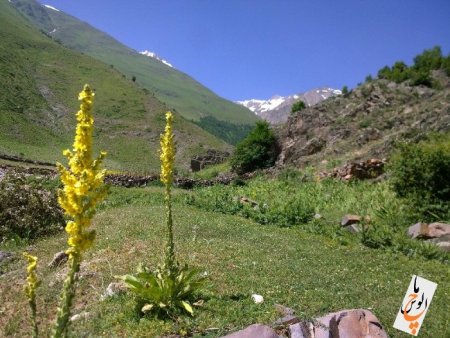 یخچال طبیعی در روستای دلیر از توابع مرزنآباد یخچال طبیعی در روستای دلیر از توابع مرزنآباد