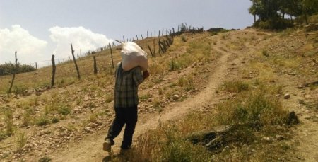 پای پیاده ی صنایع دستی نوشهر در بالاترين نقطه كوهستاني كجور+ تصاوير