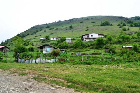 دست‌هایی که مراتع "مازيچال" را می بلعد/ اعطای کدروستا به منطقه خالی از سکنه 