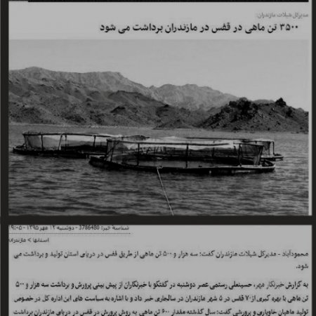آمارسازی های دروغین اداره کل شیلات برای استاندار مازندران !+ سند
